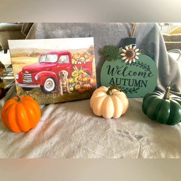 Hobby Lobby Other - 🎃 (bundle three for $18 ) Decorative fall deco